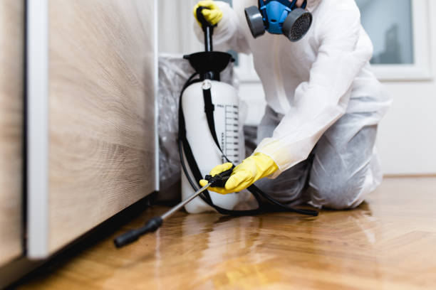 Best Termite Control Services  in Greenville, AL