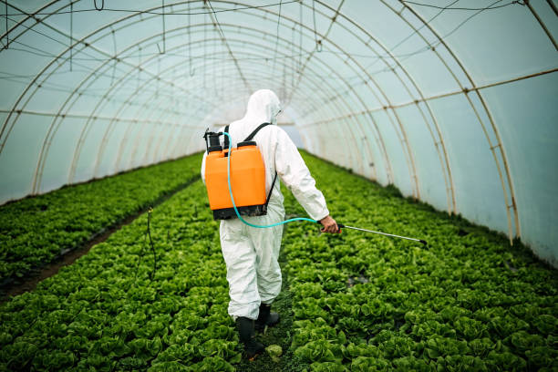Best Pest Control Cost  in Greenville, AL