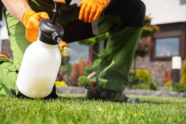 Trusted Greenville, AL Pest Control Experts