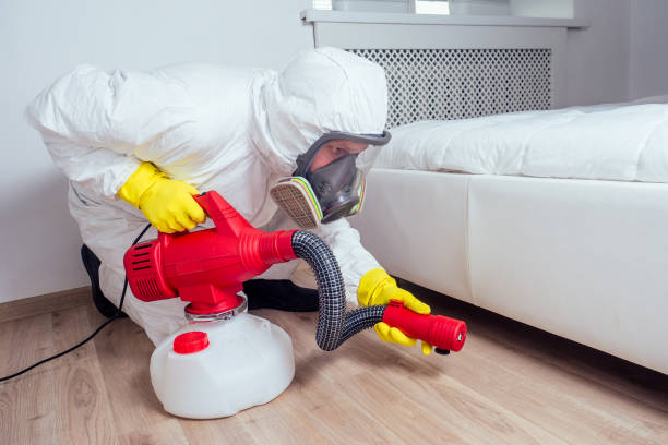 Best Flea Control Services  in Greenville, AL