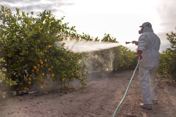 Best Best Pest Control Companies  in Greenville, AL