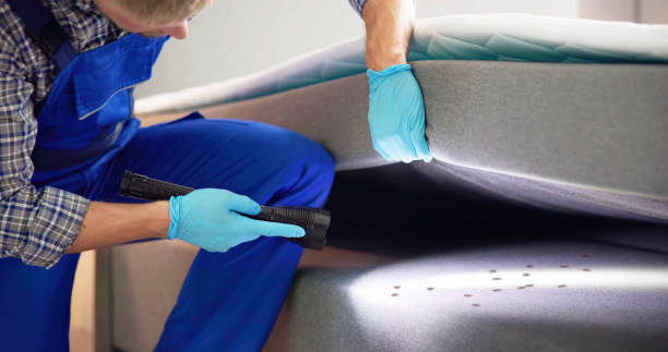 Best Residential Pest Control  in Greenville, AL