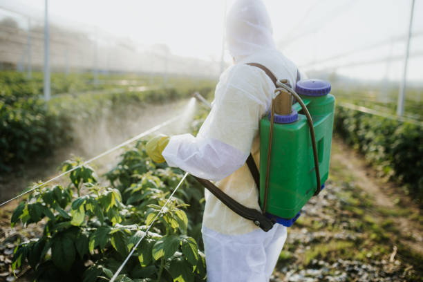 Best Cockroach Control Services  in Greenville, AL